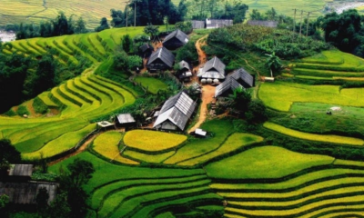 Việt Âu Group Du lịch trong nước VIỆT NAM ĐẸP TRÊN TỪNG MẢNH ĐẤT